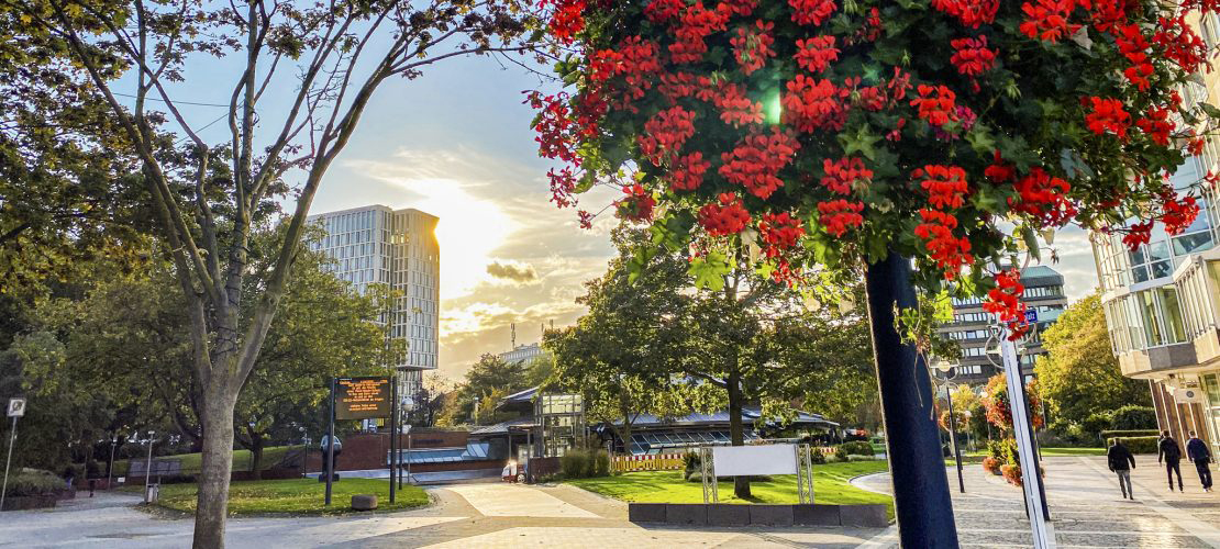 Dortmund - Friedensplatz. So schön ist der Sommer mit dent.apart.
